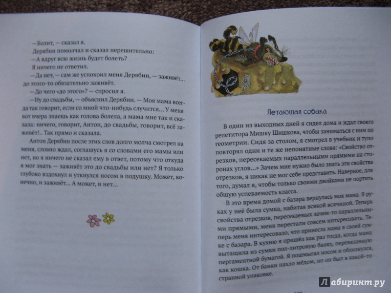 Иллюстрация 38 из 38 для Звонок на перемену - Валерий Медведев | Лабиринт - книги. Источник: Ольга