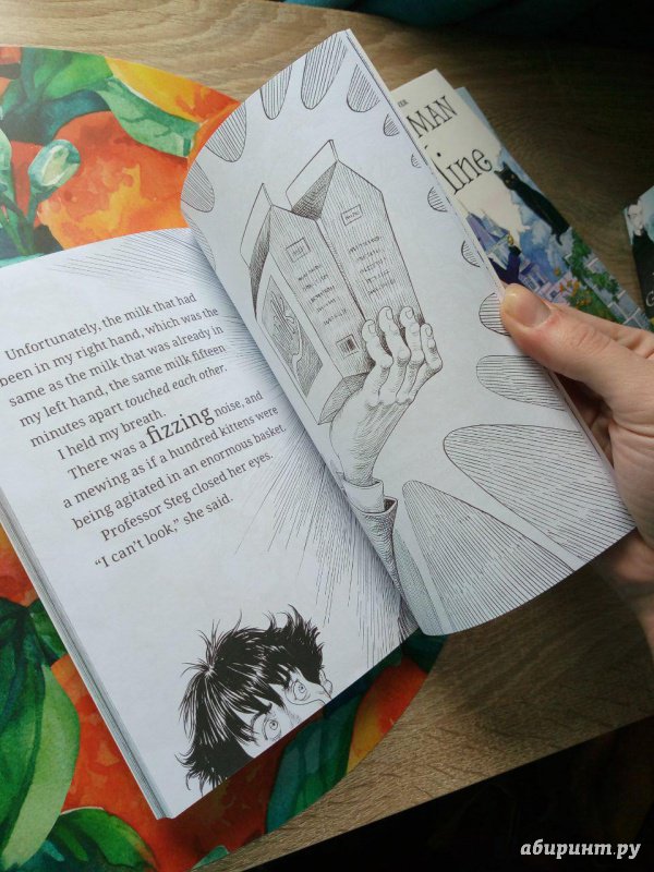 Иллюстрация 39 из 55 для Neil Gaiman & Chris Riddell 3-book Box Set - Neil Gaiman | Лабиринт - книги. Источник: fi