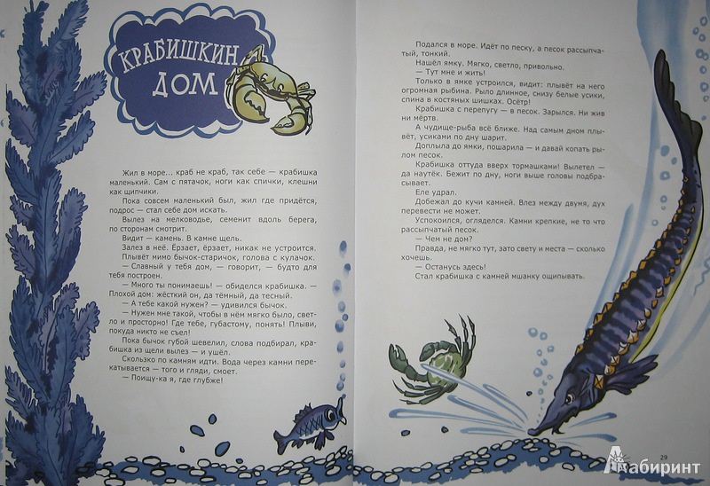 Иллюстрация 12 из 51 для Морские сказки - Святослав Сахарнов | Лабиринт - книги. Источник: Трухина Ирина