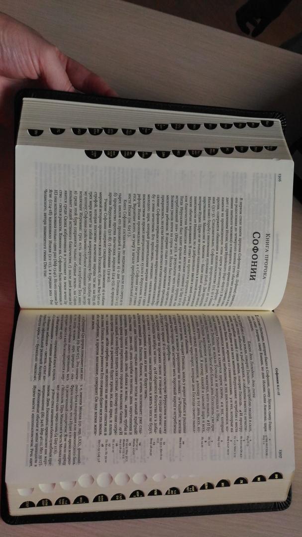Иллюстрация 28 из 33 для Библия в Синодальном переводе с комментариями (черная в футляре) | Лабиринт - книги. Источник: анна ефремова