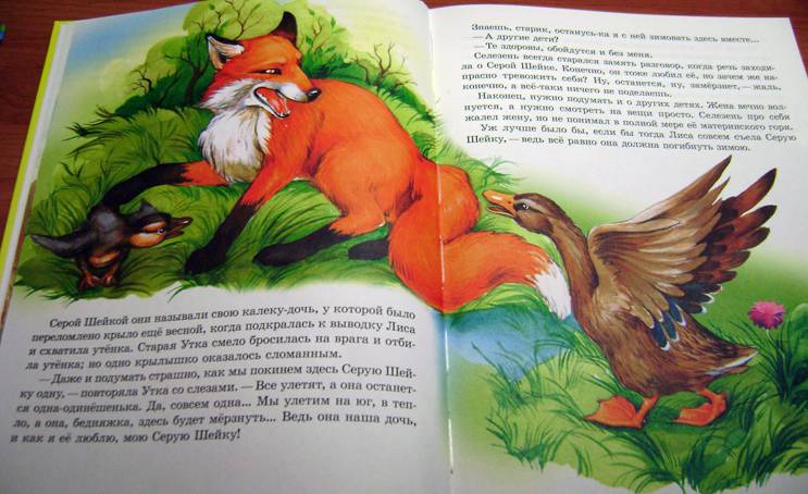 Иллюстрация 49 из 55 для Сказки о животных для малышей - Мамин-Сибиряк, Толстой, Ушинский | Лабиринт - книги. Источник: Batterfly