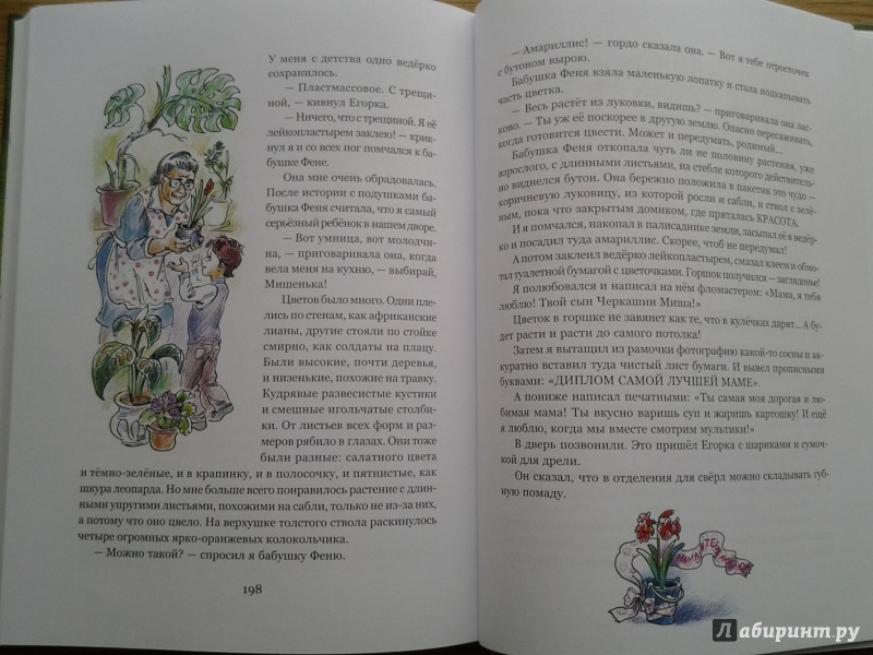 Иллюстрация 27 из 60 для Похититель домофонов - Елена Ракитина | Лабиринт - книги. Источник: Olga