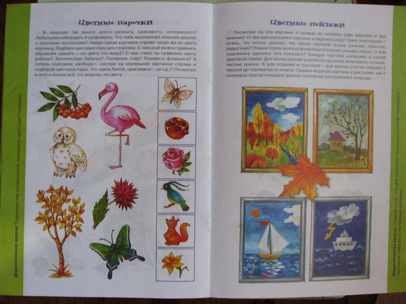 Иллюстрация 3 из 3 для Дидактика в природе - Ирина Лыкова | Лабиринт - книги. Источник: Юта