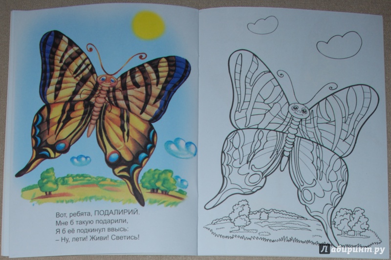 Иллюстрация 18 из 21 для Знакомимся с бабочками - Юрий Чичев | Лабиринт - книги. Источник: Книжный кот
