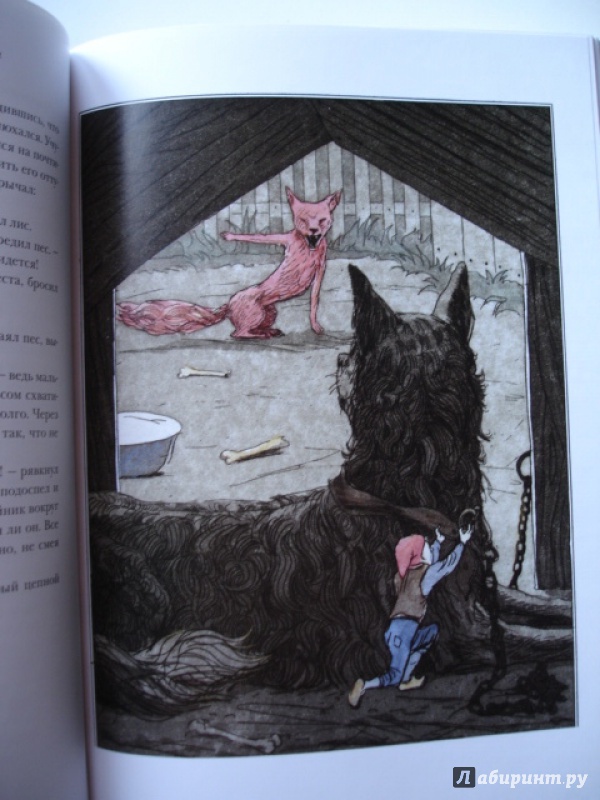 Иллюстрация 25 из 47 для Удивительное путешествие Нильса Хольгерссона с дикими гусями по Швеции - Сельма Лагерлеф | Лабиринт - книги. Источник: Blackboard_Writer