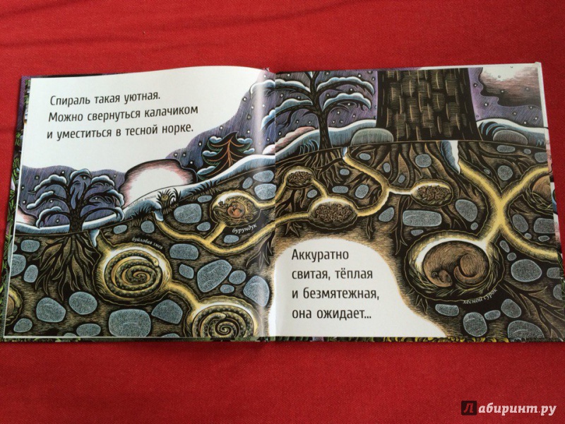 Иллюстрация 39 из 65 для Живые спирали - Джойс Сидман | Лабиринт - книги. Источник: Сан Санна