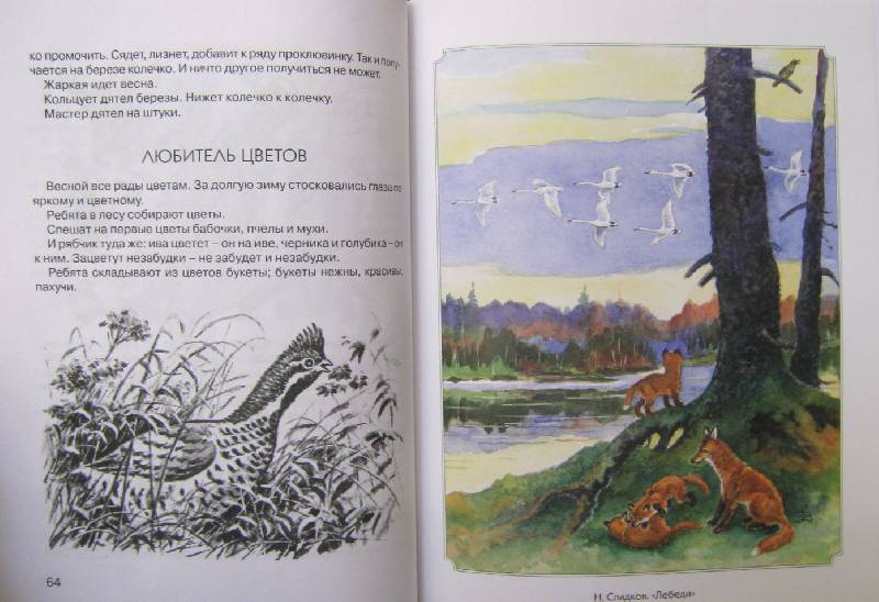 Иллюстрация 10 из 14 для 300 страниц про зверей и птиц | Лабиринт - книги. Источник: Спанч Боб