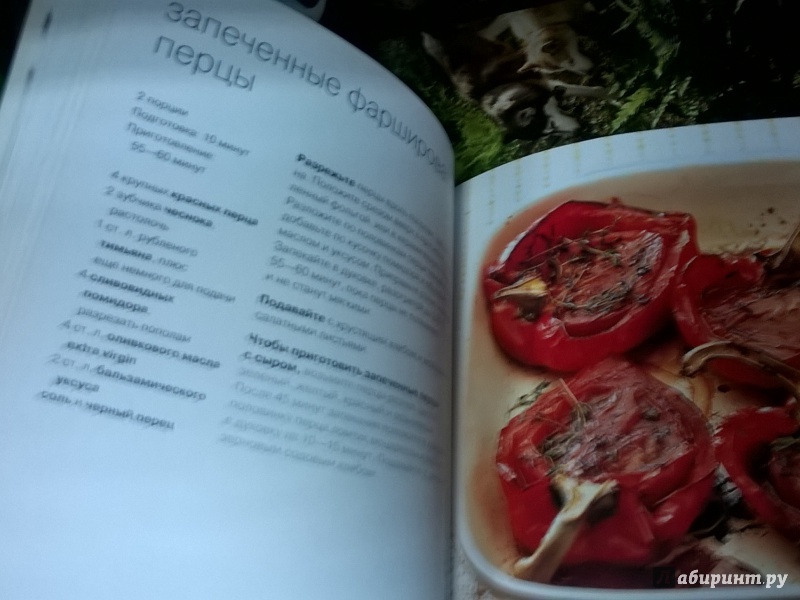 Иллюстрация 16 из 24 для 100 вегетарианских блюд - Луиза Пикфорд | Лабиринт - книги. Источник: Марина