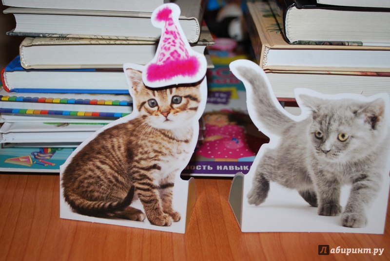 Иллюстрация 8 из 14 для Пушистые модники. Нарядные котята | Лабиринт - книги. Источник: Нади