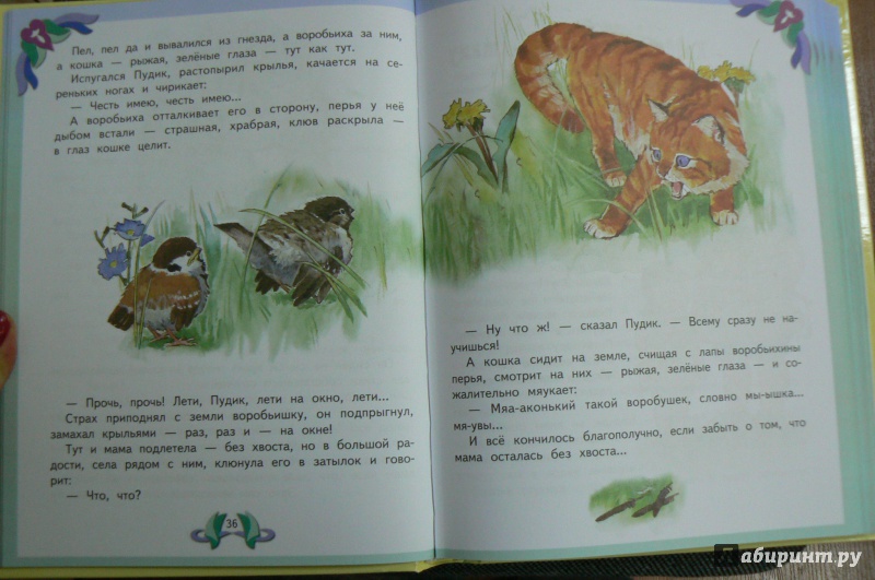 Иллюстрация 12 из 16 для Лучшие произведения для детей. От 3 до 6 лет - Сладков, Лунин, Яснов | Лабиринт - книги. Источник: Марина