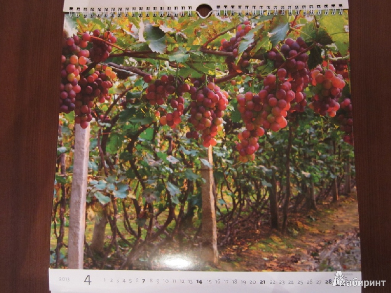 Иллюстрация 9 из 12 для Календарь 2013. Wine/Вино | Лабиринт - сувениры. Источник: ЮлияО