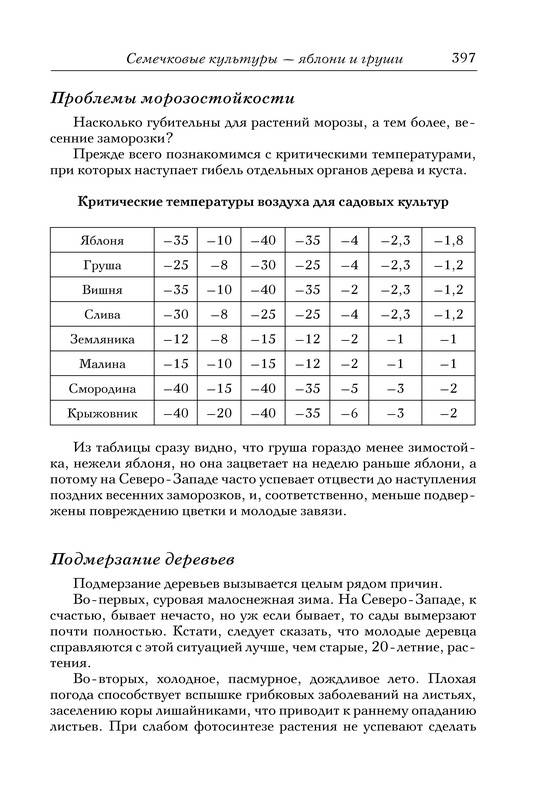 Иллюстрация 14 из 14 для Новые идеи для сада и огорода - Галина Кизима | Лабиринт - книги. Источник: Ялина