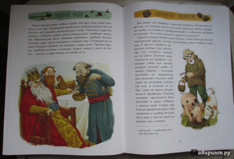 Иллюстрация 21 из 68 для Грибное царство - Алена Васнецова | Лабиринт - книги. Источник: Dmit