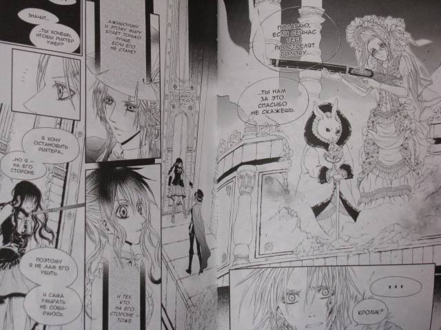 Иллюстрация 11 из 16 для Двери Хаоса. Книга 3. Сердце тьмы - Риоко Мицуки | Лабиринт - книги. Источник: Nemertona