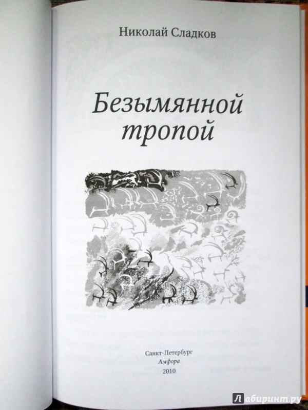 Иллюстрация 4 из 13 для Безымянной тропой - Николай Сладков | Лабиринт - книги. Источник: Зеленая шляпа