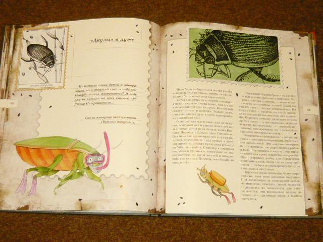 Иллюстрация 67 из 103 для Письма насекомых - Ольга Кувыкина | Лабиринт - книги. Источник: Ромашка:-)