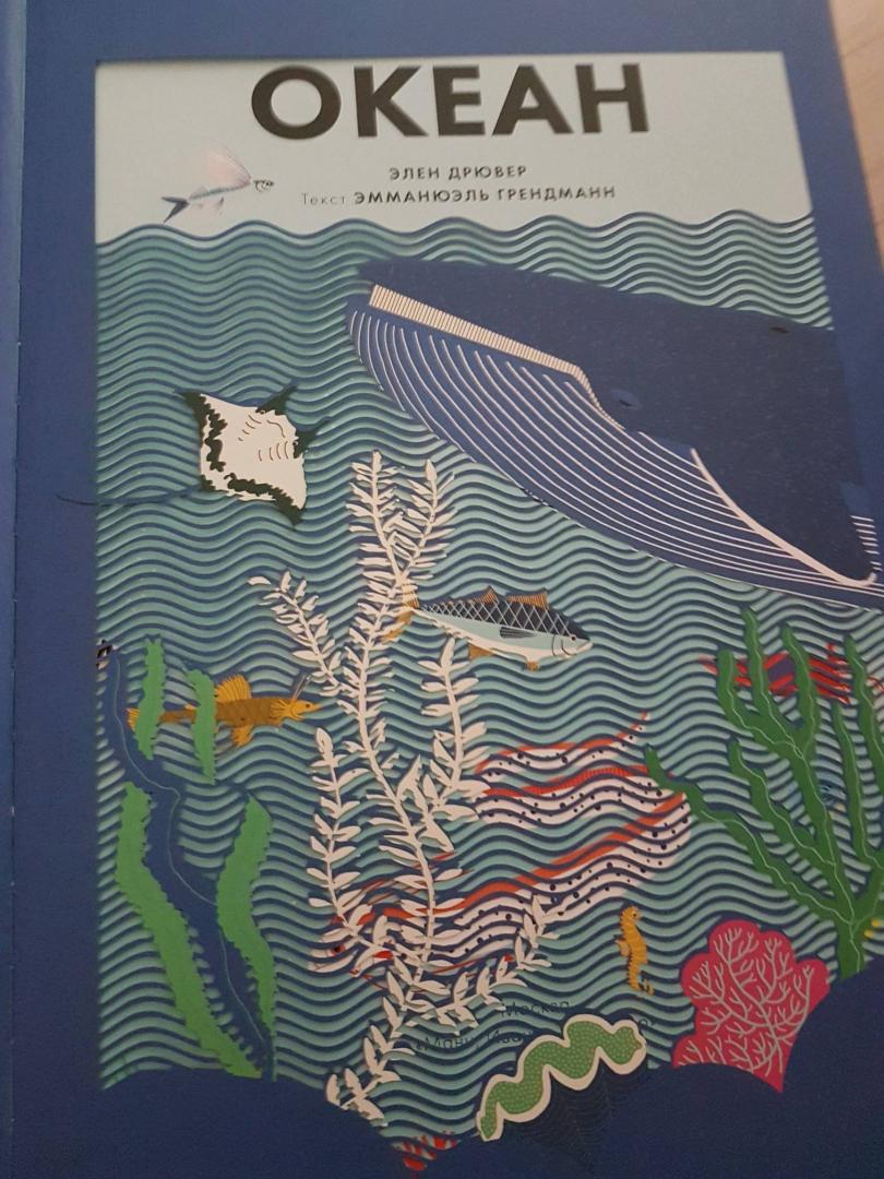 Иллюстрация 34 из 60 для Океан - Элен Дрювер | Лабиринт - книги. Источник: Лабиринт