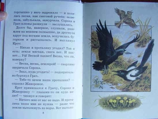 Иллюстрация 5 из 10 для Лесные сказки - Николай Сладков | Лабиринт - книги. Источник: kristal