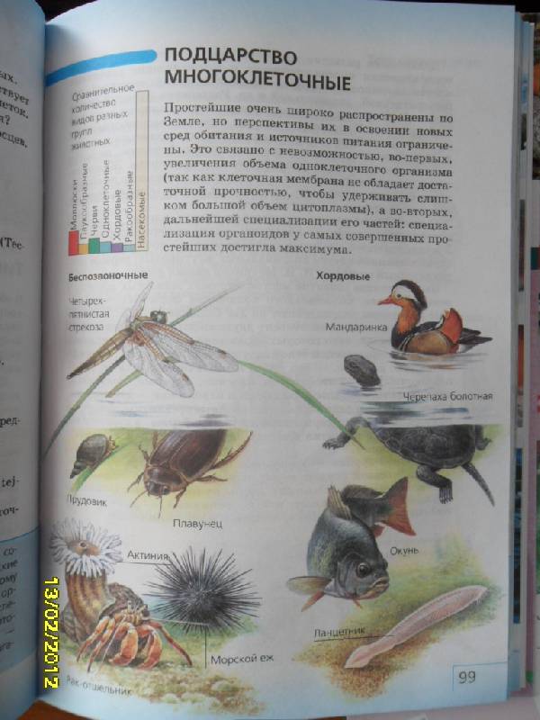 Иллюстрация 3 из 11 для Биология. Многообразие живых организмов. 7 класс (+ CD) - Сонин, Захаров | Лабиринт - книги. Источник: Ankosik