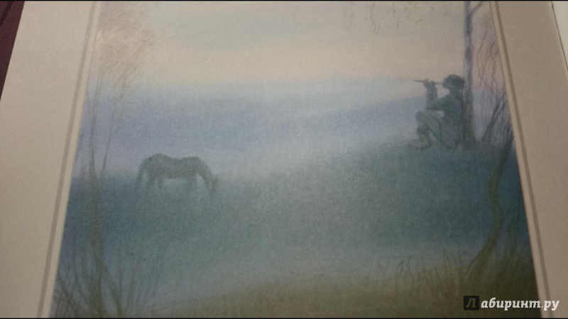 Иллюстрация 18 из 49 для Волшебный конь | Лабиринт - книги. Источник: anka46