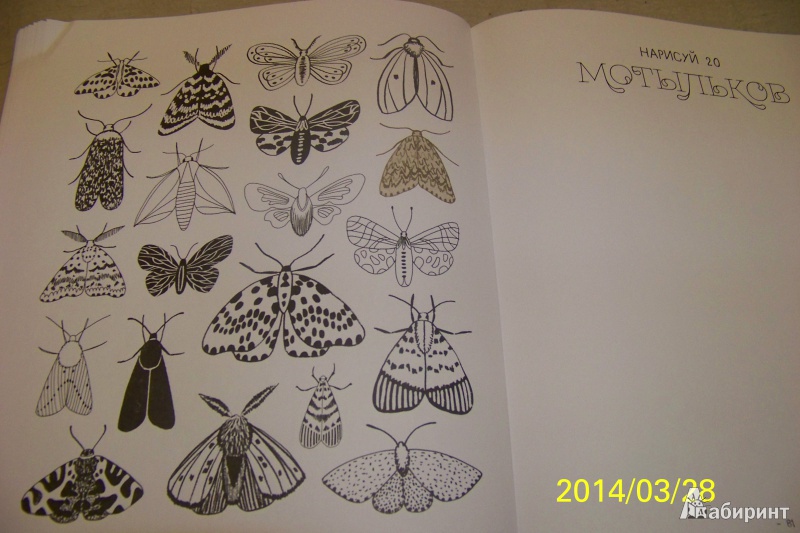 Иллюстрация 33 из 42 для 20 способов нарисовать дерево и другие 44 чуда природы - Элоиз Ренуф | Лабиринт - книги. Источник: G