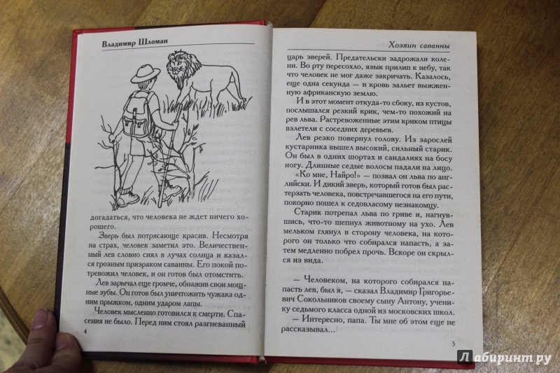 Иллюстрация 4 из 9 для Хозяин саванны - Владимир Шломан | Лабиринт - книги. Источник: Полецкая  Яна