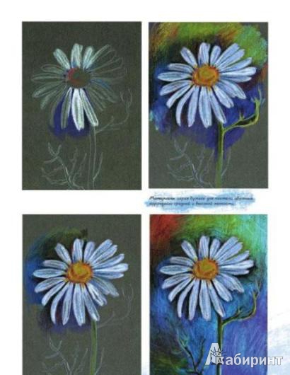 Иллюстрация 13 из 23 для Рисуем цветы (+CD) - Виктория Мазовецкая | Лабиринт - книги. Источник: Низамутдинова  Олия
