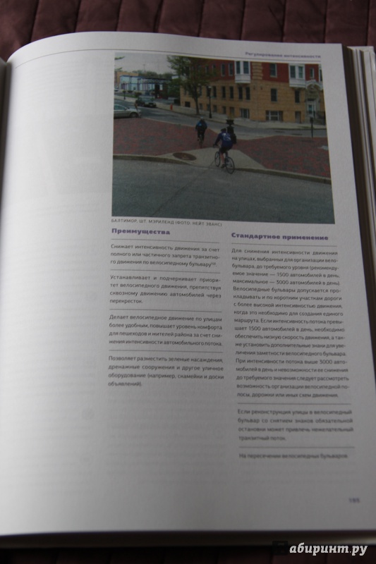 Иллюстрация 40 из 43 для Проектирование городских велодорожек | Лабиринт - книги. Источник: Vera Grey