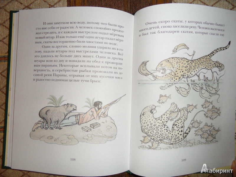 Иллюстрация 35 из 73 для Сказки сельвы: сказки о животных - Орасио Кирога | Лабиринт - книги. Источник: Maxima