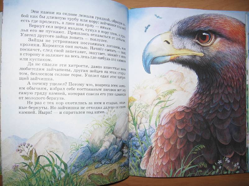 Иллюстрация 64 из 87 для Сказки о родной природе - Бианки, Сладков, Шим | Лабиринт - книги. Источник: Red cat ;)