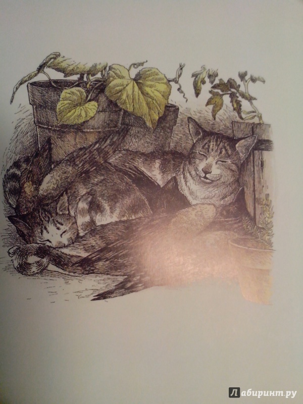 Иллюстрация 7 из 38 для Крылатые кошки возвращаются - Гуин Ле | Лабиринт - книги. Источник: Аболяева  Ирина