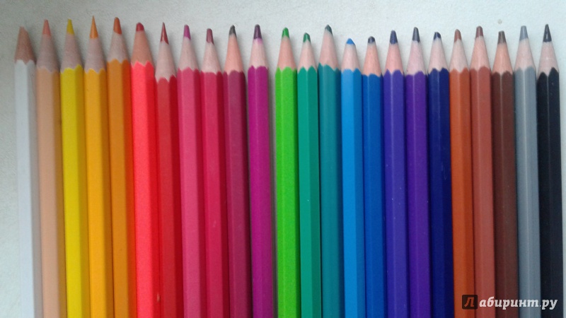 Иллюстрация 2 из 3 для Карандаши цветные пластиковые (24 цвета) (TZ 5951-24) | Лабиринт - канцтовы. Источник: Алпацкая  Елена