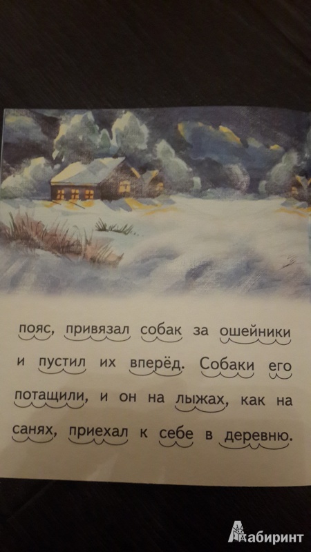 Иллюстрация 16 из 24 для Охотник и собаки - Борис Житков | Лабиринт - книги. Источник: ИринаИ