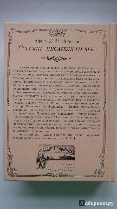 Иллюстрация 11 из 24 для Русские писатели XIX века. Очерки по истории русской литературы XIX века - И. Андреев | Лабиринт - книги. Источник: Ивашкина  Анна Андреевна