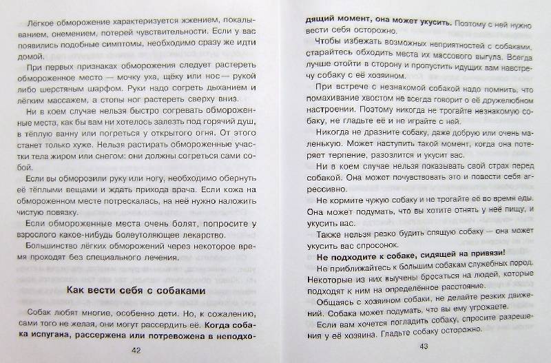 Иллюстрация 22 из 26 для Правила безопасности дома и на улице - Сергей Шинкарчук | Лабиринт - книги. Источник: BOOKвочка
