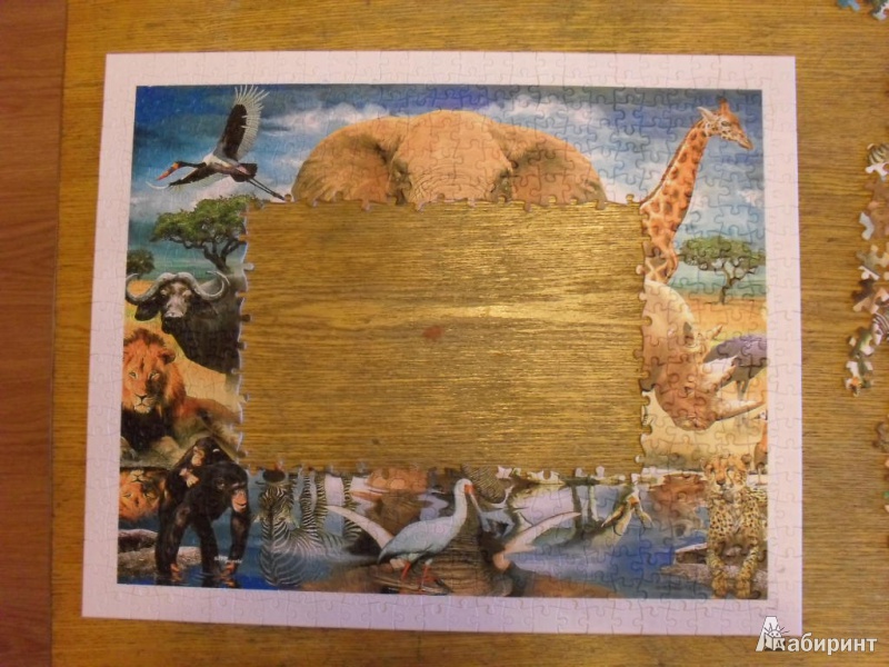 Иллюстрация 5 из 11 для Step Puzzle-500. "Мир животных" (98011) | Лабиринт - игрушки. Источник: Ишимбаев  Владимир