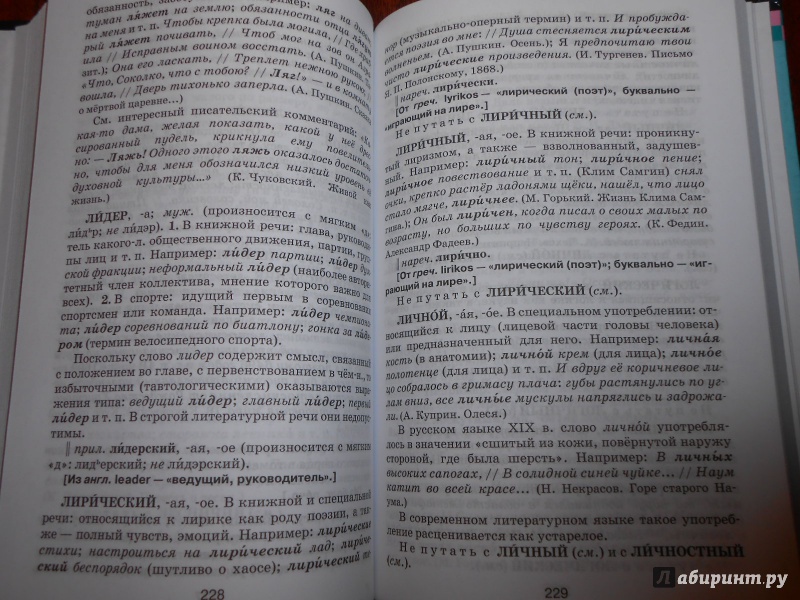 Иллюстрация 8 из 22 для Школьный словарь по культуре русской речи - Лев Скворцов | Лабиринт - книги. Источник: Леан