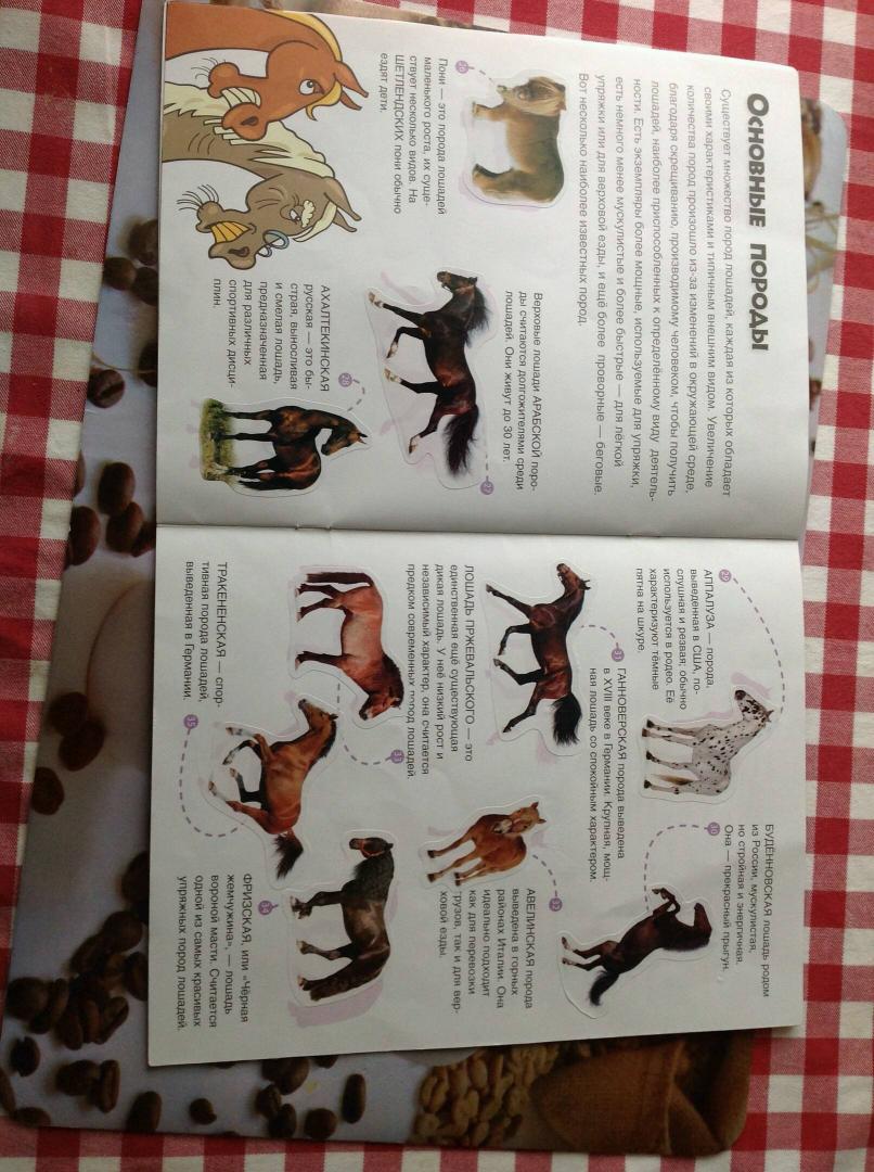 Иллюстрация 11 из 23 для Мои друзья - лошади | Лабиринт - книги. Источник: Лабиринт