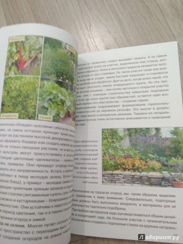 Иллюстрация 13 из 17 для Декоративный огород - Ирина Сахарова | Лабиринт - книги. Источник: Тайна