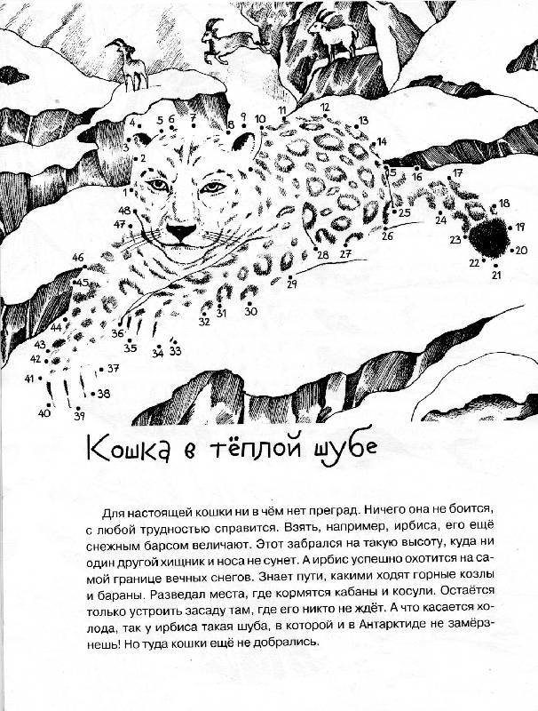 Иллюстрация 3 из 3 для Дикие кошки. От точки к точке - Ольга Александрова | Лабиринт - книги. Источник: РИВА