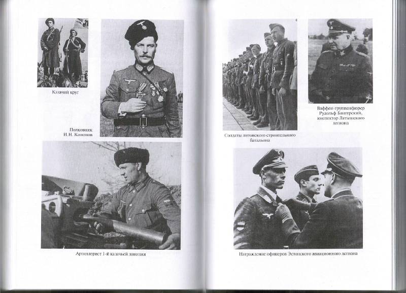 Иллюстрация 4 из 9 для Иностранные формирования Третьего рейха - Дробязко, Романько, Семенов | Лабиринт - книги. Источник: tat_skr