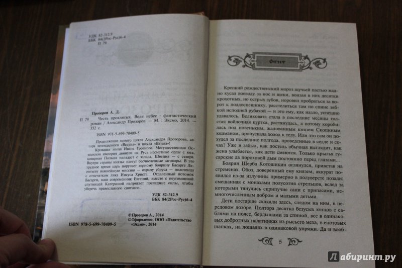 Иллюстрация 3 из 7 для Честь проклятых. Воля небес - Александр Прозоров | Лабиринт - книги. Источник: Полецкая  Яна