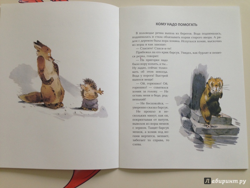 Иллюстрация 8 из 54 для Зачем ежу колючки - Вениамин Росин | Лабиринт - книги. Источник: Транжира