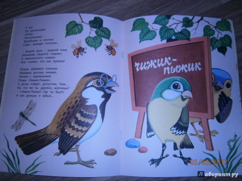 Иллюстрация 20 из 20 для Птичья школа - Борис Заходер | Лабиринт - книги. Источник: Пономарева  Елена Елена