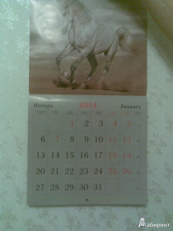 Иллюстрация 2 из 9 для Календарь 2014 "Символ года. Прекрасные лошади" (КС121401) | Лабиринт - сувениры. Источник: Tanajkan