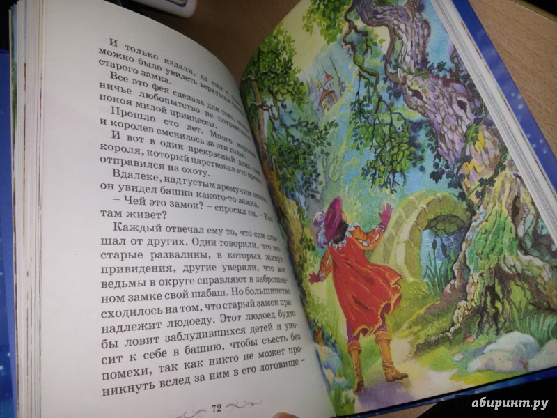 Иллюстрация 12 из 49 для Любимые волшебные сказки | Лабиринт - книги. Источник: Морозова  Карина