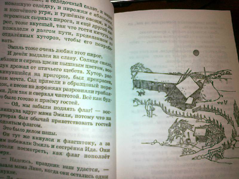 Иллюстрация 26 из 32 для Приключения Эмиля из Лённеберги - Астрид Линдгрен | Лабиринт - книги. Источник: Daffy