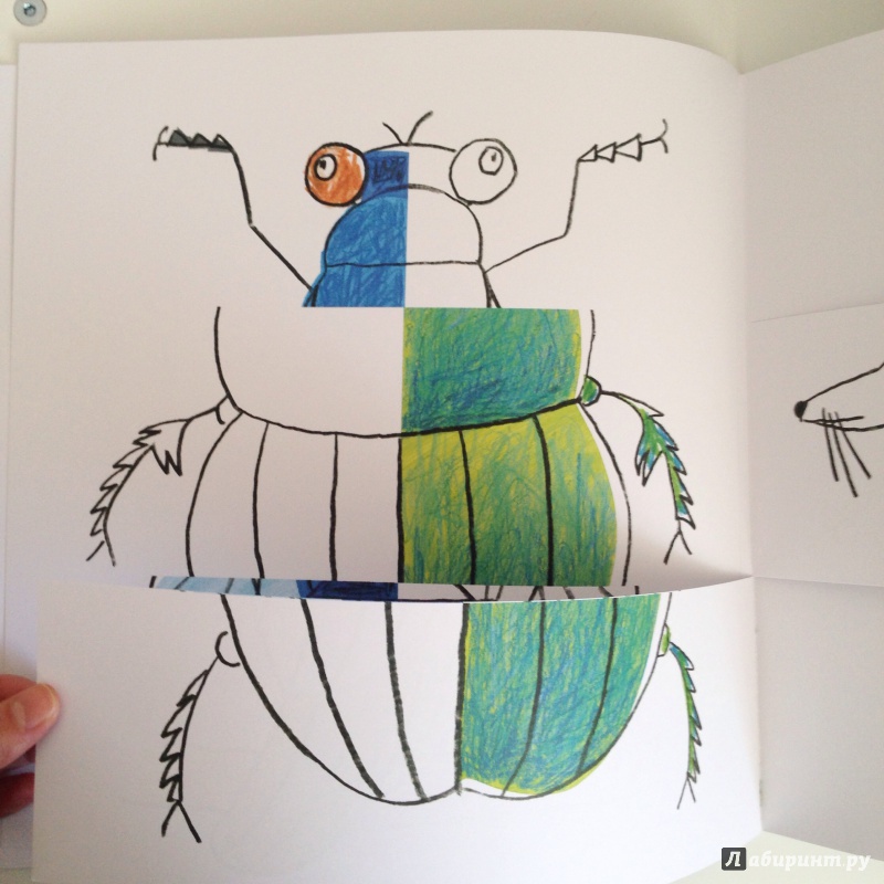 Иллюстрация 30 из 70 для Разноцветная природа - Пито, Жерве | Лабиринт - книги. Источник: O_A