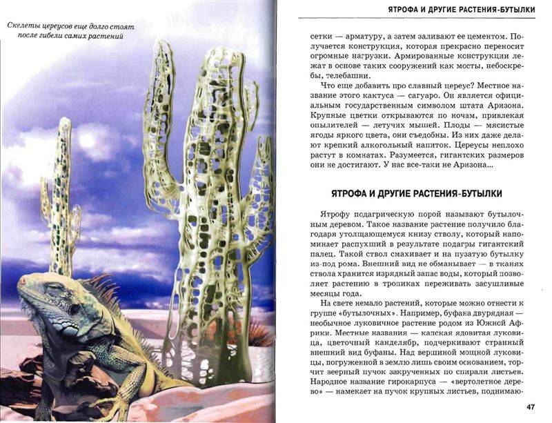 Иллюстрация 16 из 54 для Самые удивительные растения - Сергей Афонькин | Лабиринт - книги. Источник: Юта
