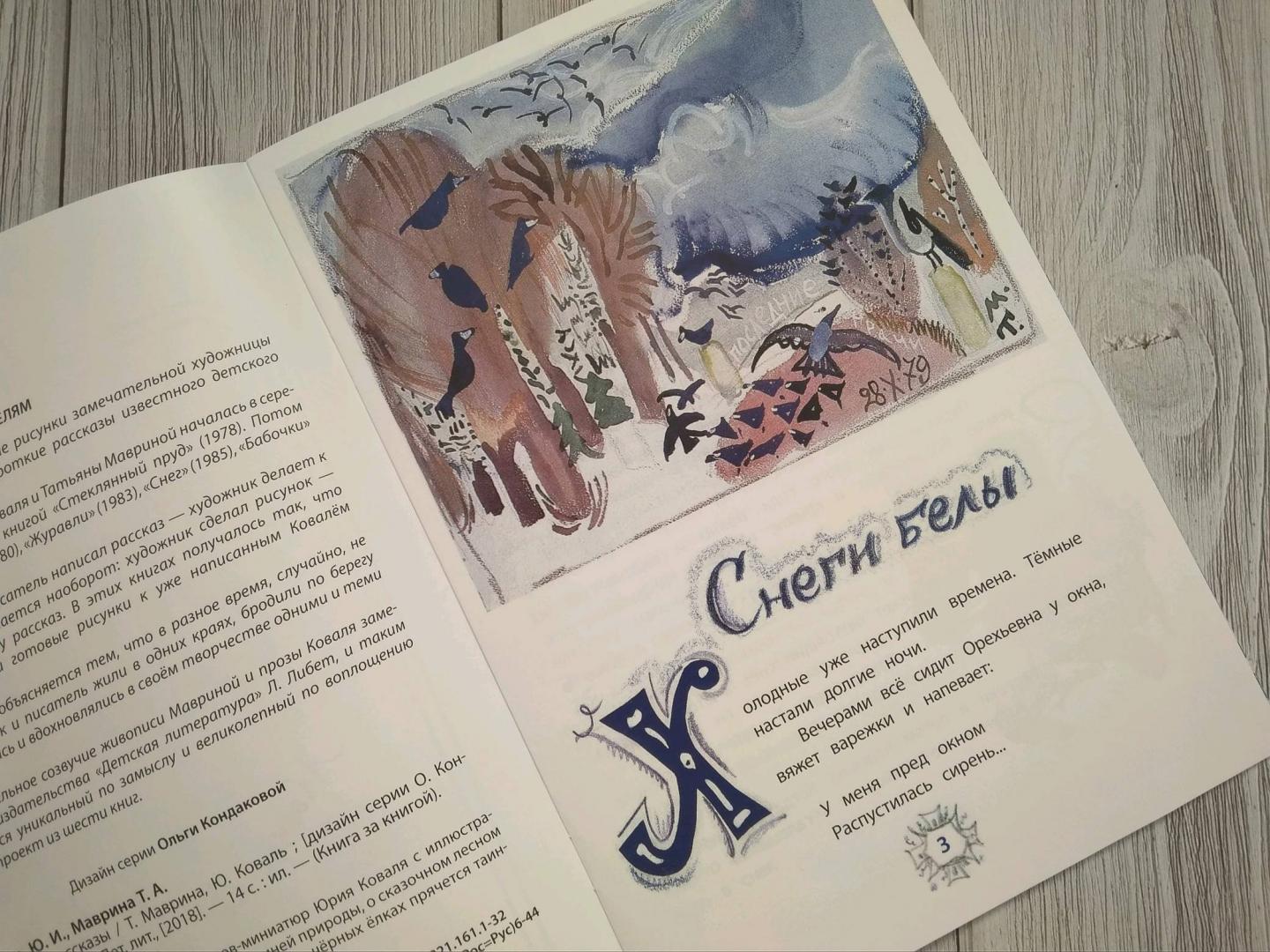 Иллюстрация 13 из 31 для Снег - Коваль, Маврина | Лабиринт - книги. Источник: Андрейченко Полина